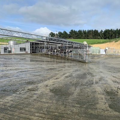 10Dave McCrea_Hakataramea Dairy Shed